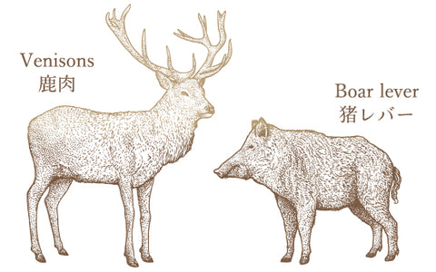鹿肉と猪レバーイメージ