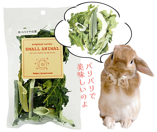 Mocoちゃんおすすめ「乾燥青パパイヤの葉」