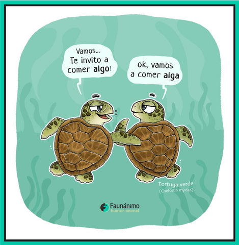Dibujo de tortugas