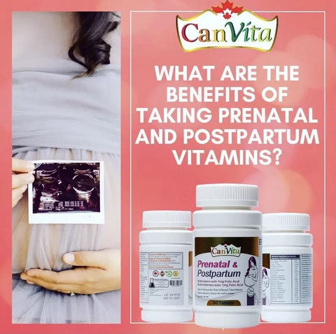  Prenatal And Postpartum vitamins