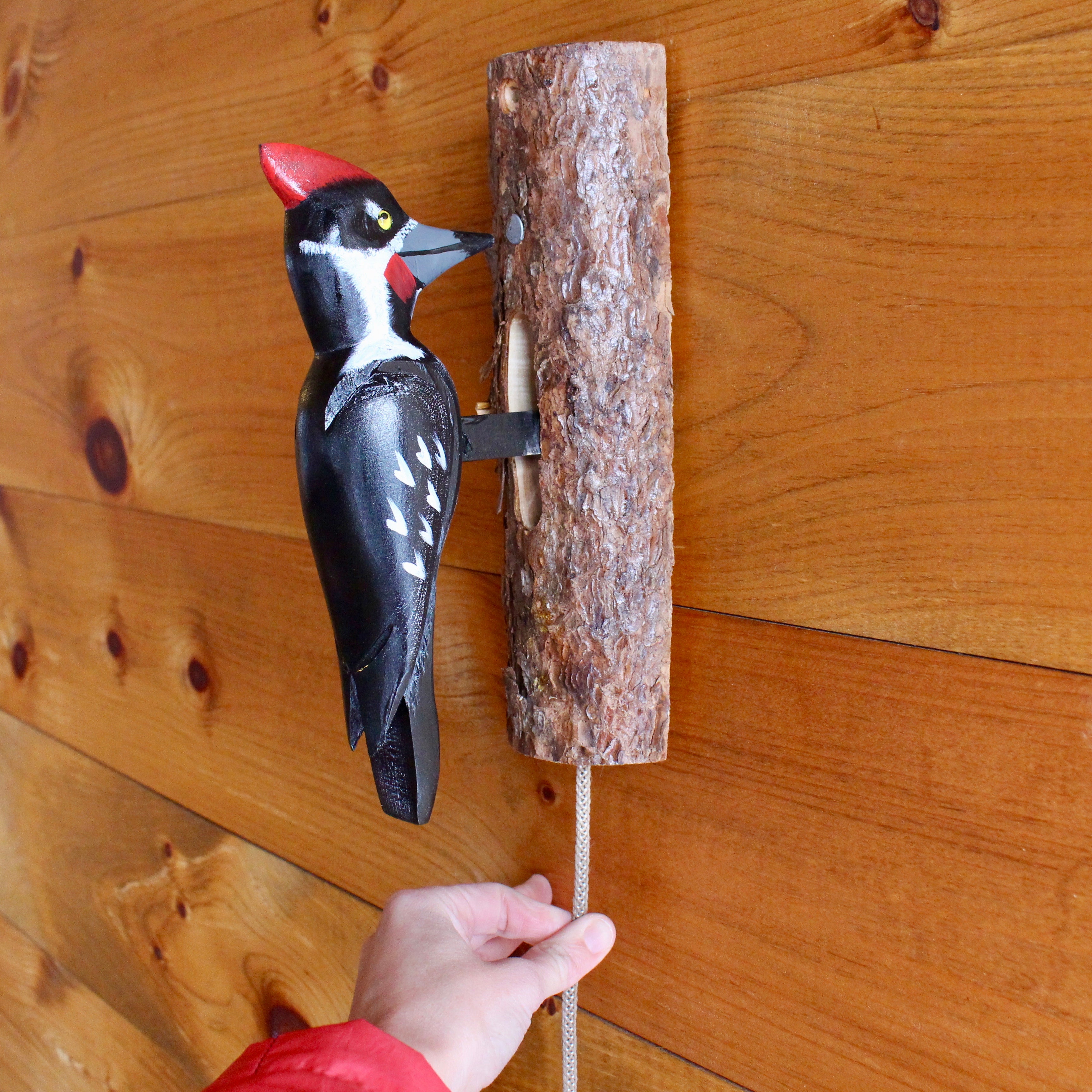 Pileated Woodpecker Carved Wood Door Knocker | Nuttall's Wooden