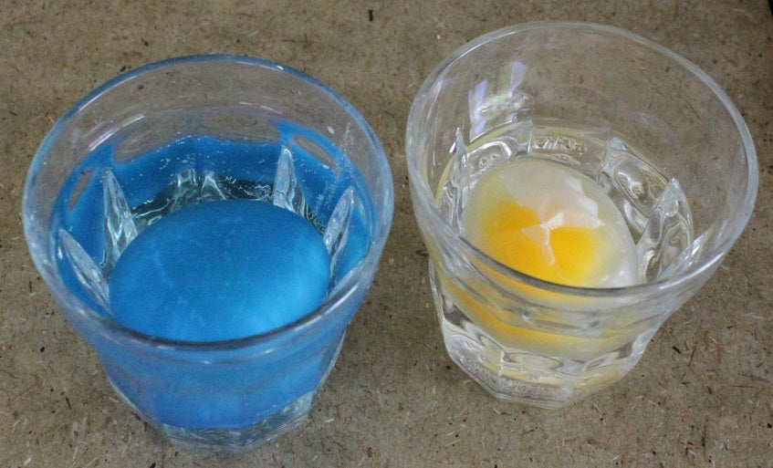eggs in water and corn syrup | Yellow Scope 20 Minute Labs