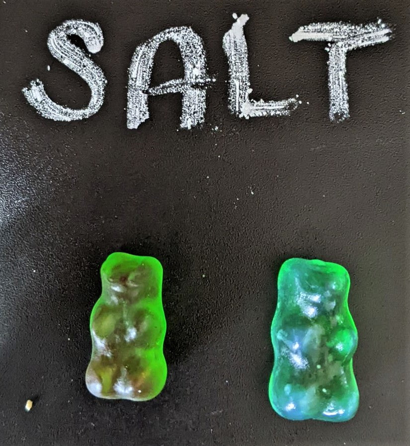 salt water gummy bear experiment | Yellow Scope