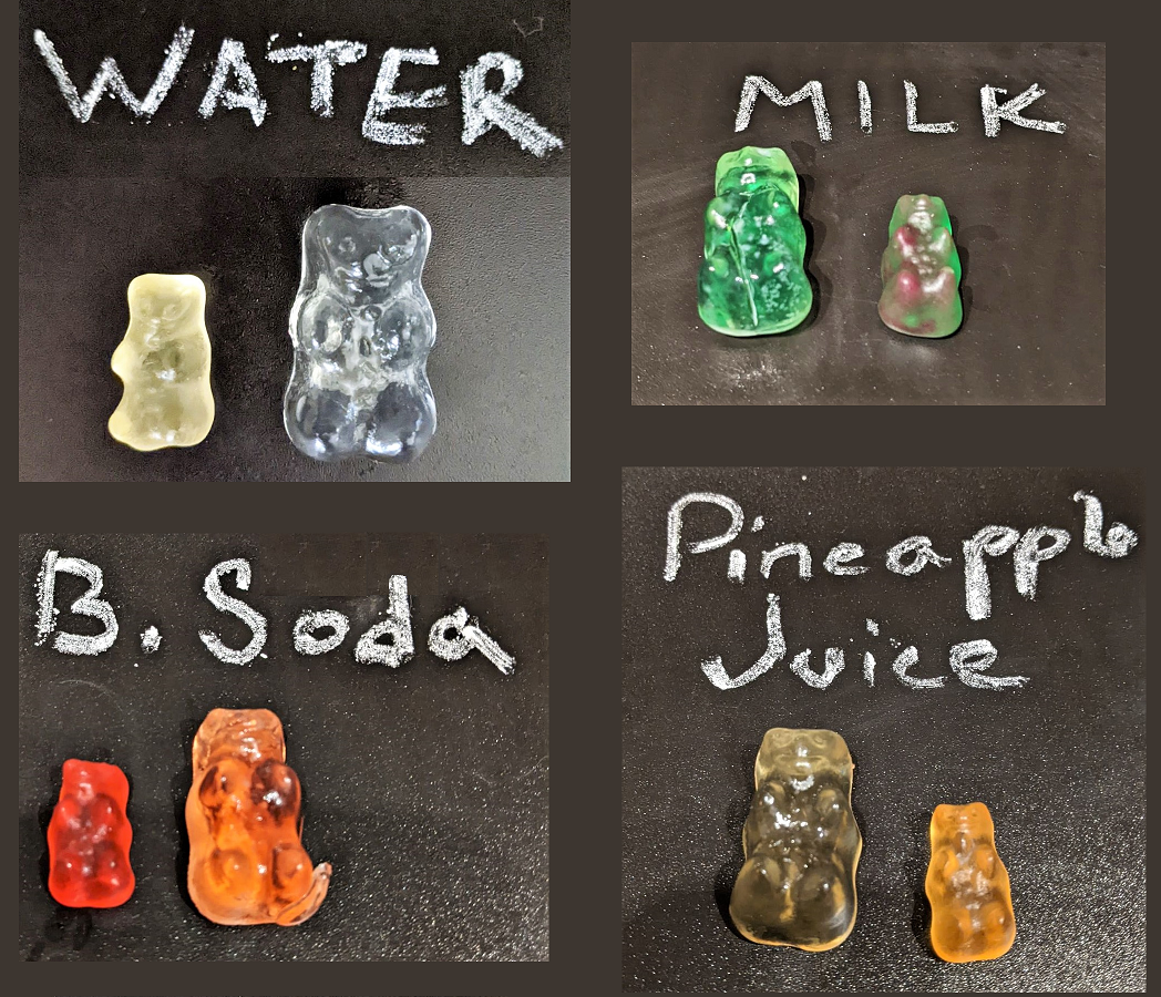 results gummy bear experiment | Yellow Scope