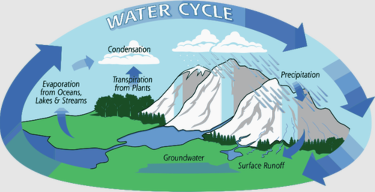 water cycle | Yellow Scope