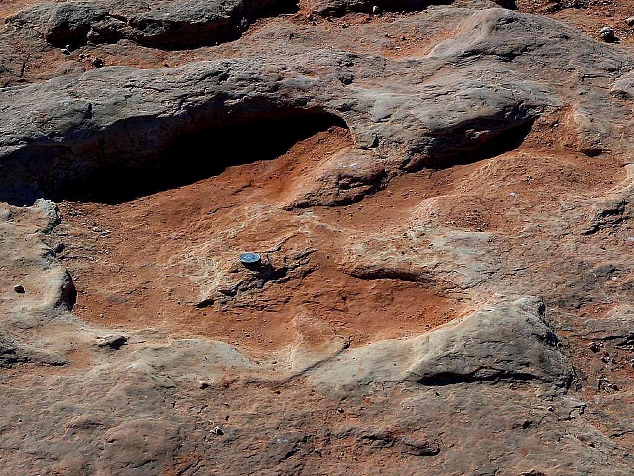 dinosaur footprint | Yellow Scope