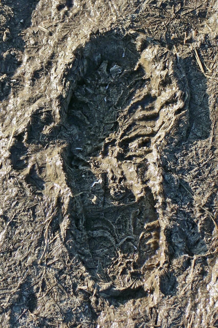 human footprint mud | Yellow Scope