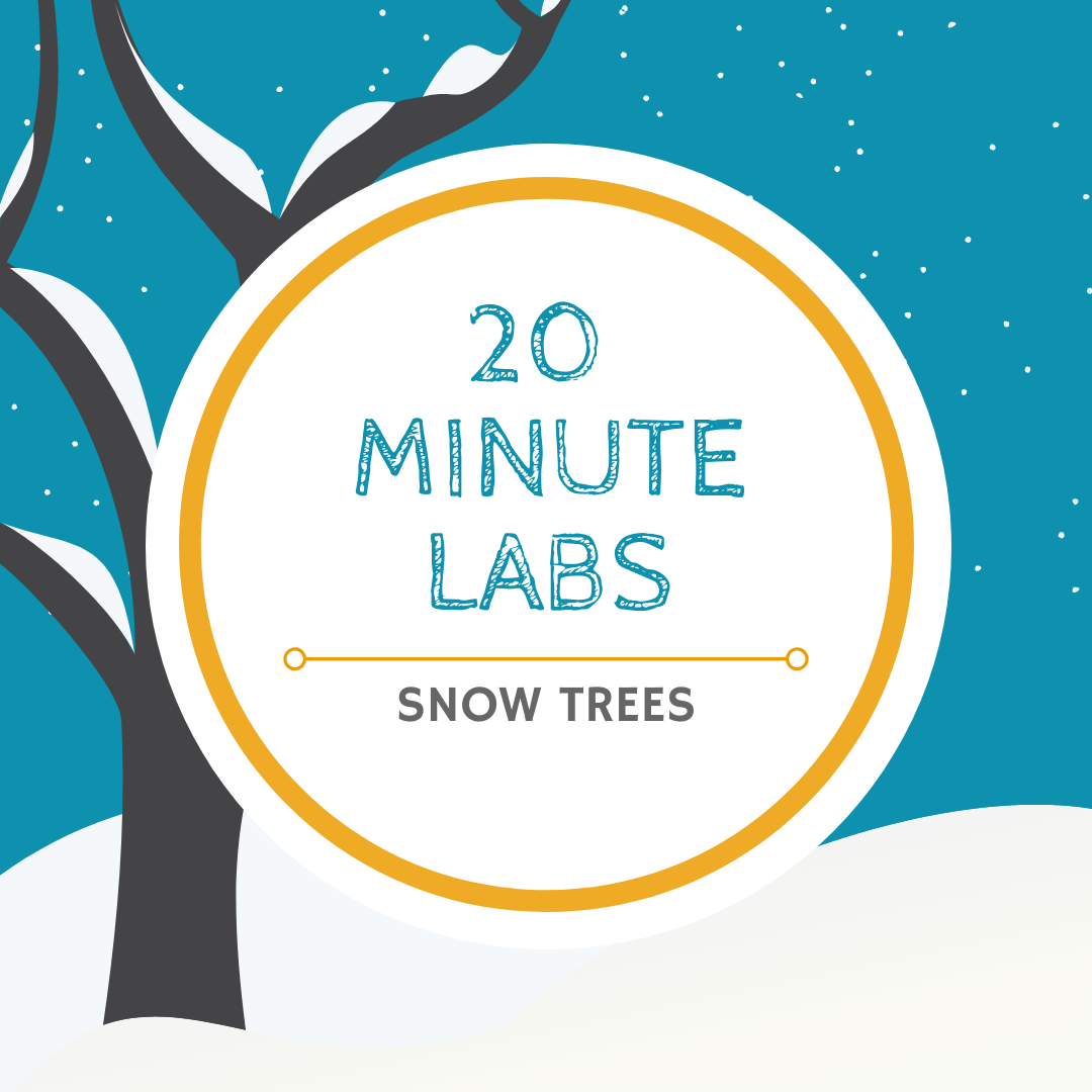 20 Minute Labs salt tree logo | Yellow Scope