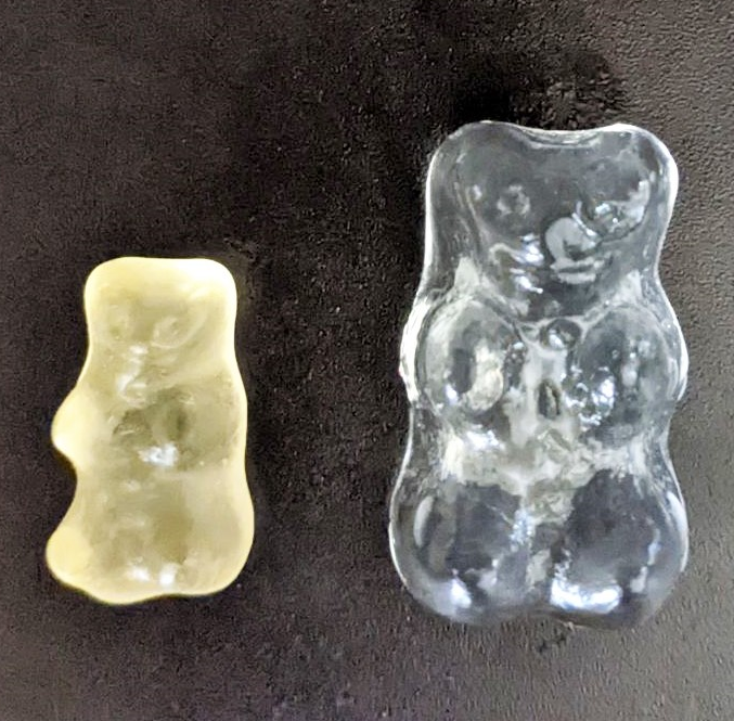 water results gummy bear experiment | Yellow Scope