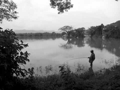 Shore Fishing