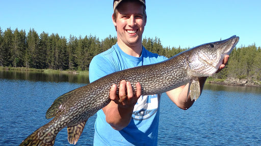 Angler with large Northern Pike