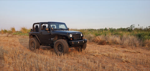 Wrangler in the field.