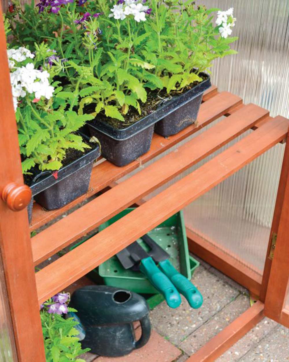 hwgrowst2 hwoodghouse shelf web
