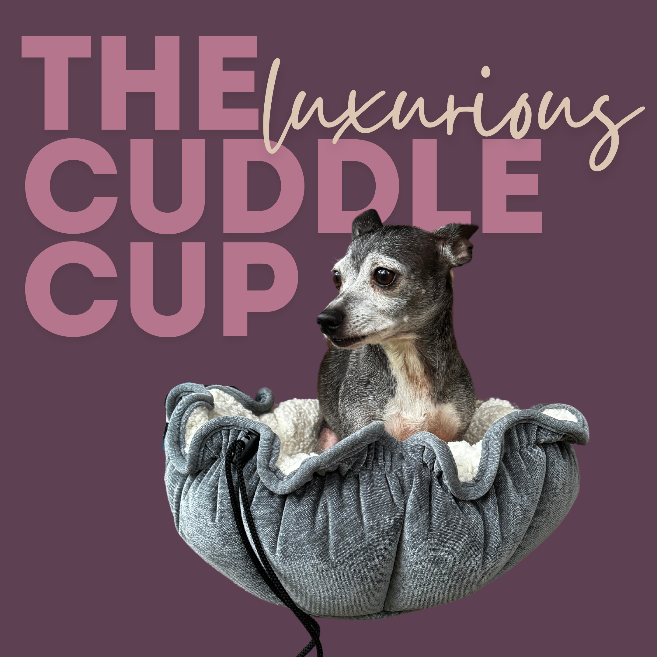 Dog in a cozy, grey bed with text 'The Luxurious Cuddle Cup' on a purple background.
