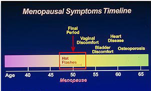menopause timeline