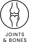 joints and bones