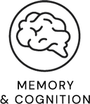 memory-cognition