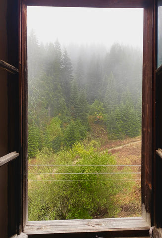 an image of mountain view through the window