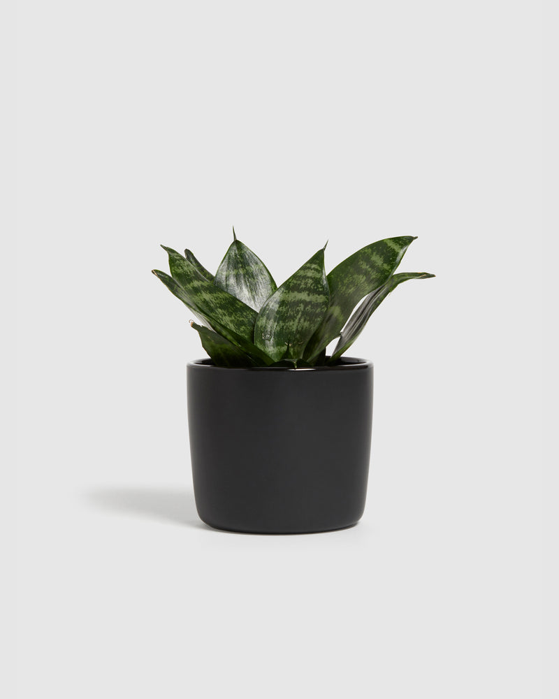 Indoor Garden Planter M