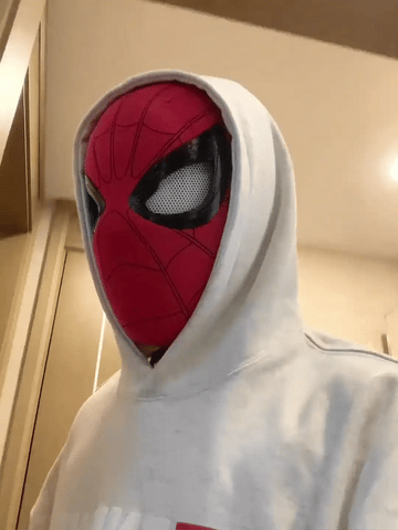 Spidey Mask