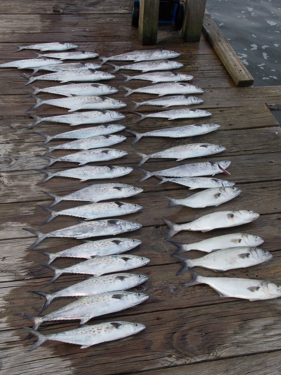 North Carolina’s Crystal Coast – An Alternative to Numb Hands and Frozen Reels