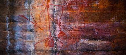 About Kakadu Indigenous Artwork for sale