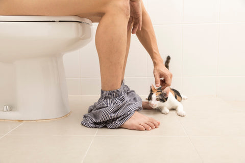man patting kitten while on the toilet
