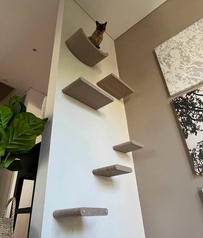 wall mounted cat furniture shelves prototype
