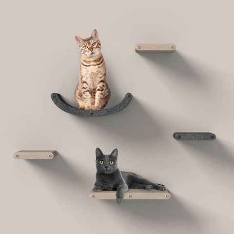 two cats lying on wall hanging shelves relaxing