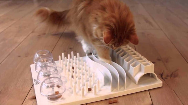 Cat playing with Puzzle Feeder