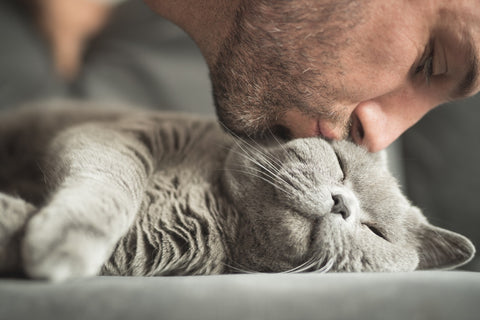 man kissing sleeping cat