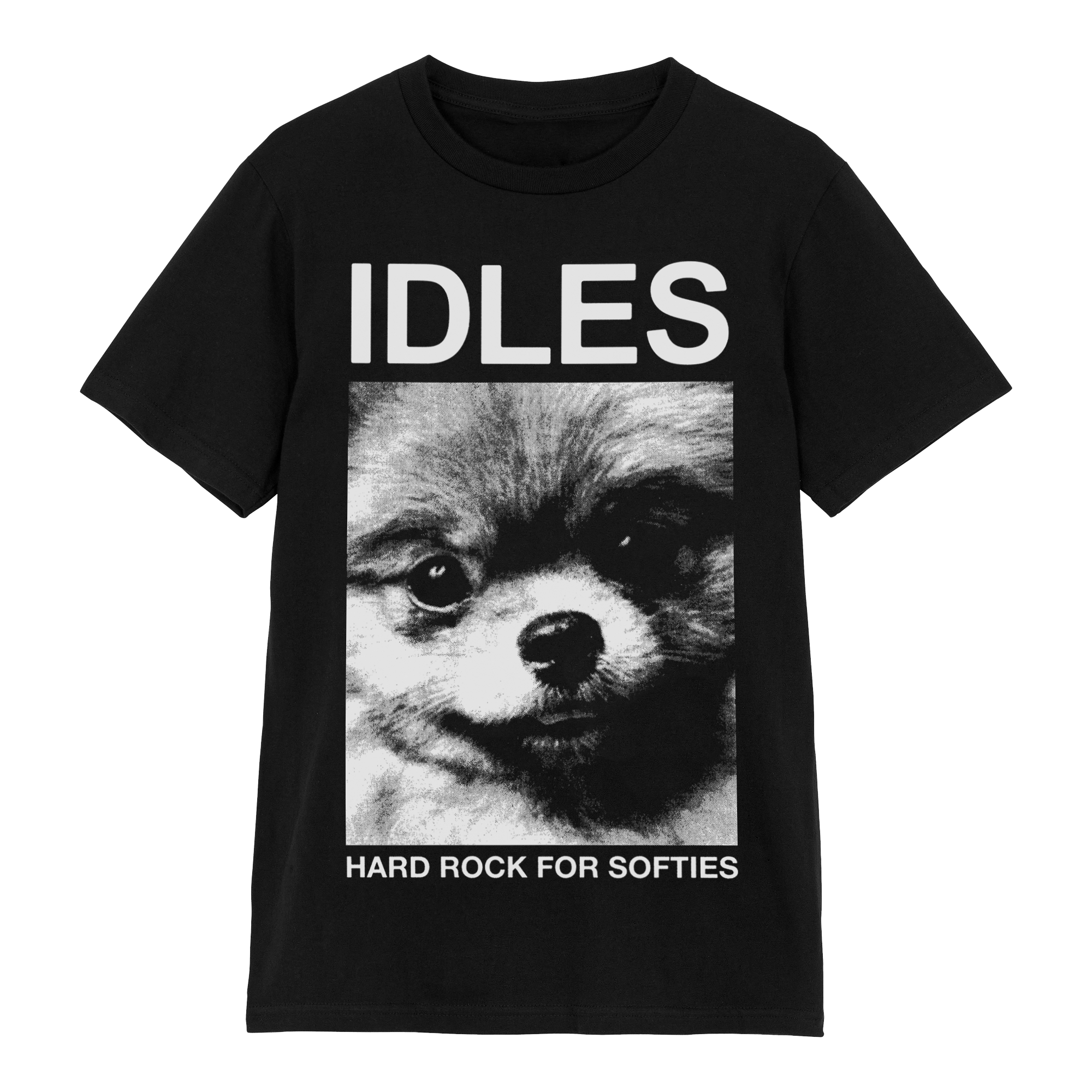 Pom T-Shirt - IDLES product image