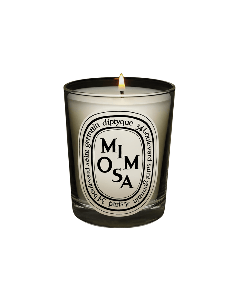 Diptyque Mimosa Classic Candle – Steven Dann