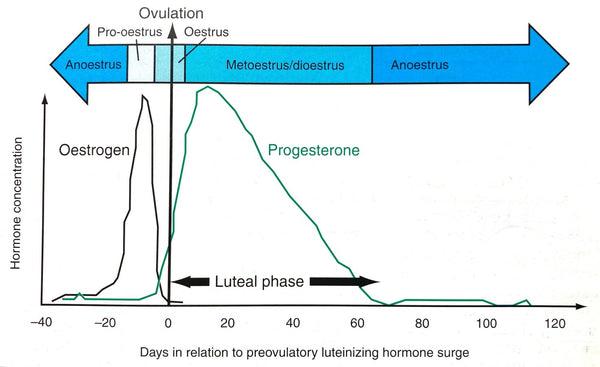 Figure 3. Days in relation to preovulatory luteinizing hormone surge