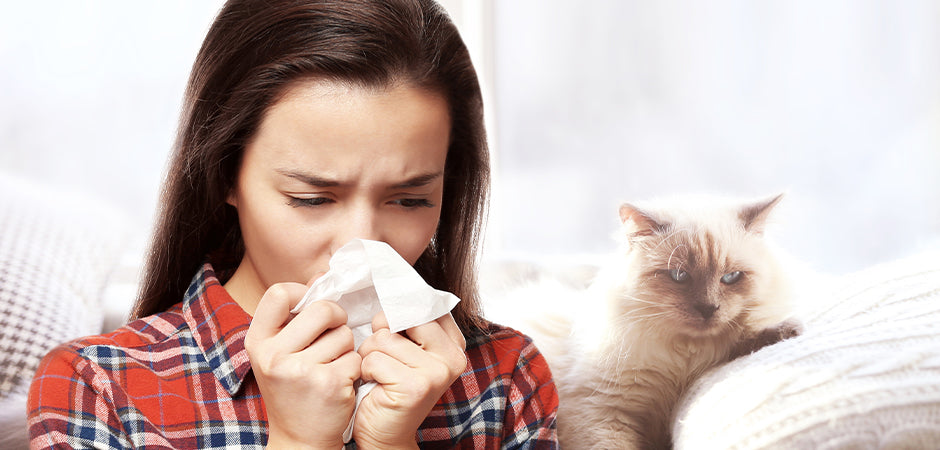 9 Ways To Get Rid Of Cat Allergies Naturally