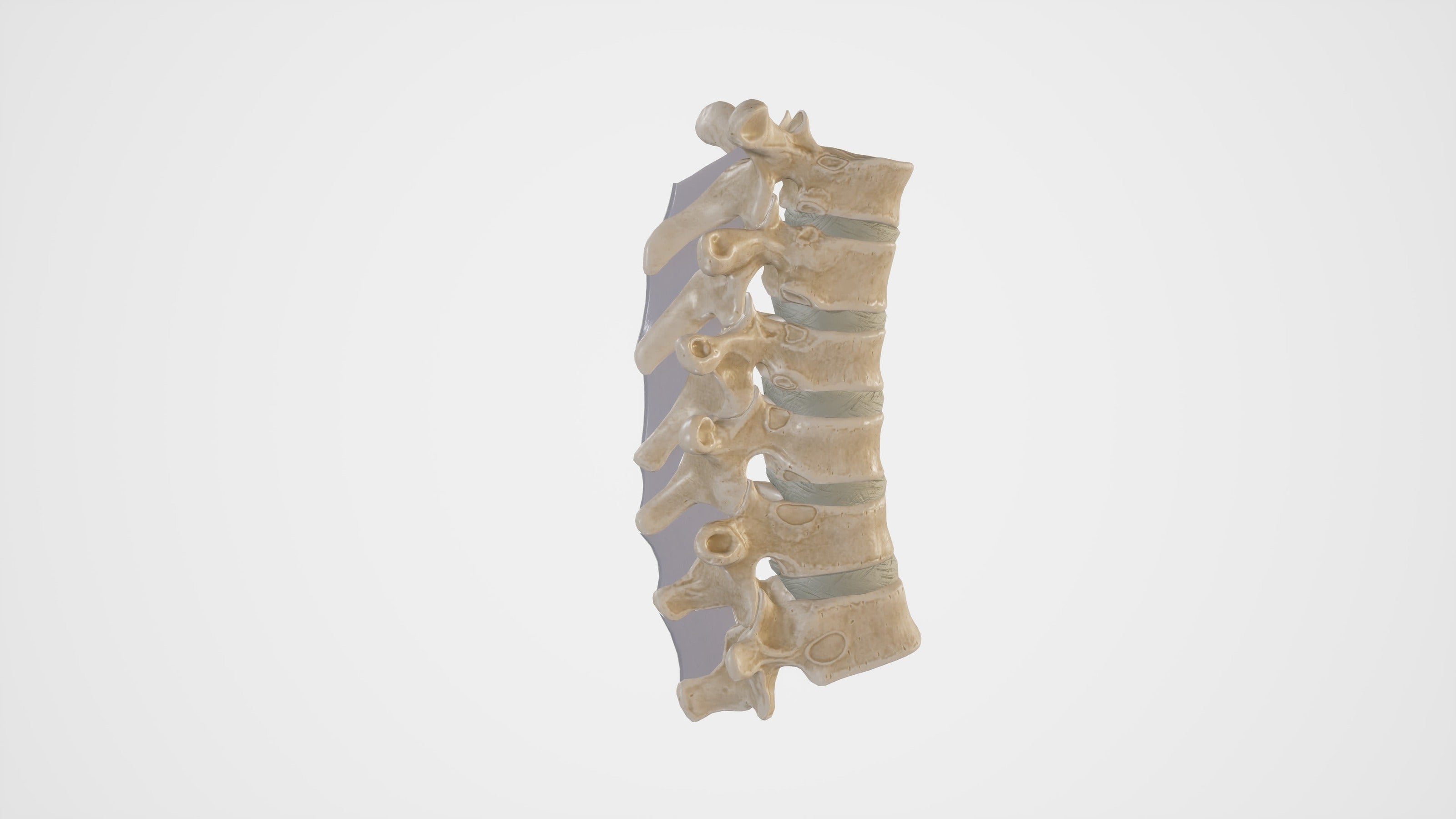 Anesthesia Layer Traverse for Interspinous Ligament