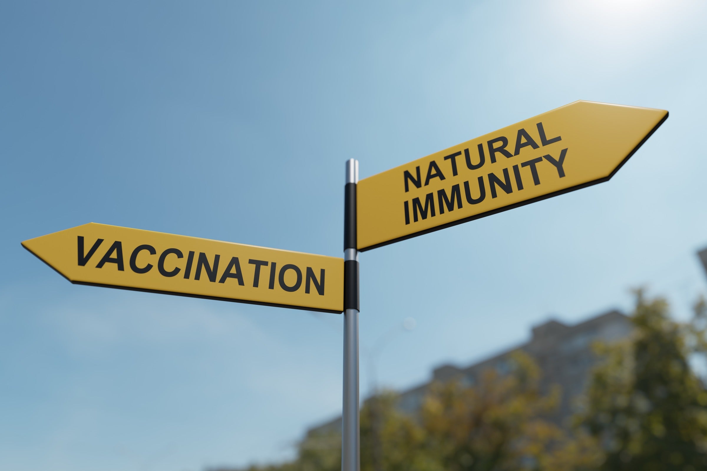 Natural Immunity and Artificial Immunity