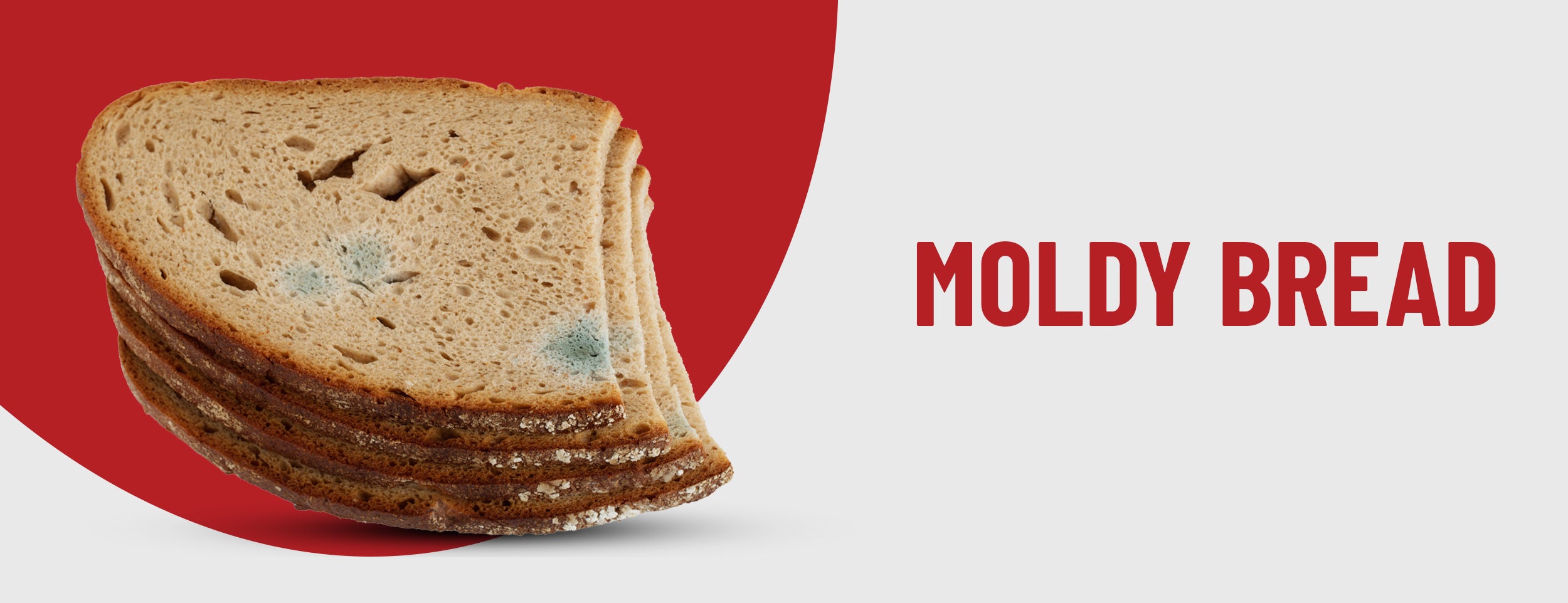 Moldy bread is used as a wound disinfectant in Egyptian cuisine