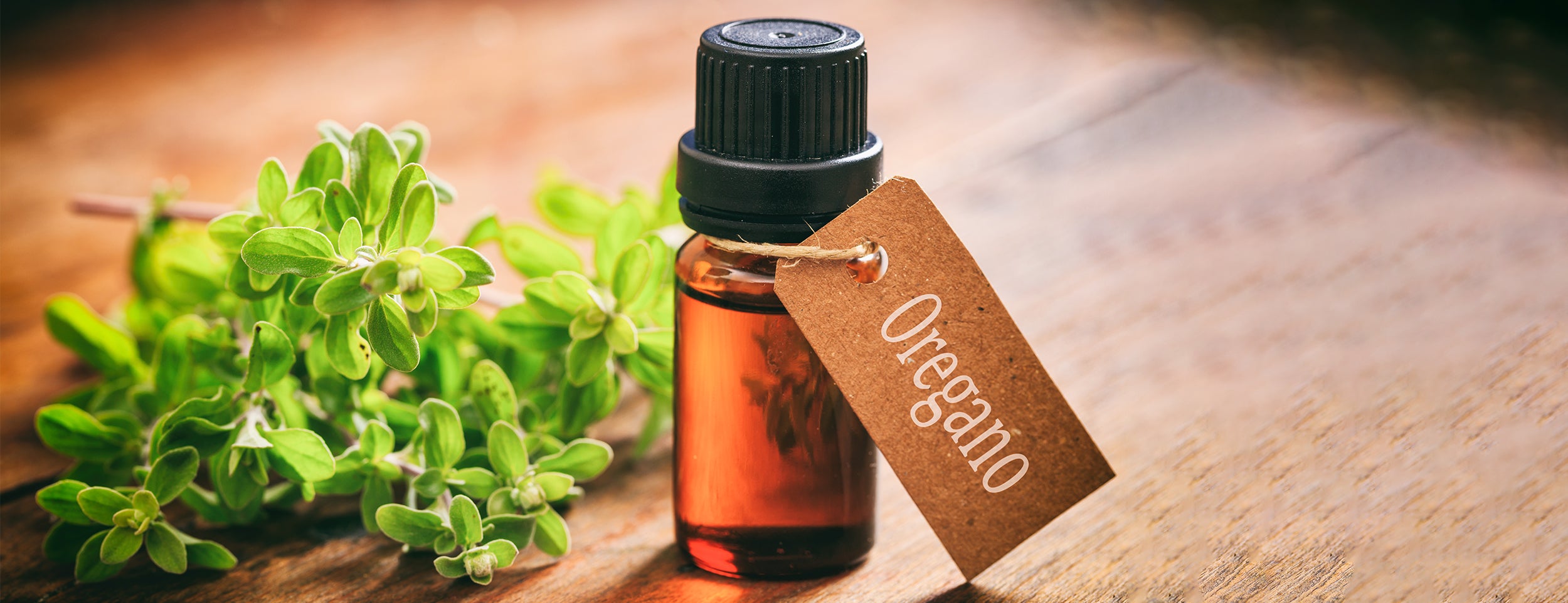 Using oregano oil