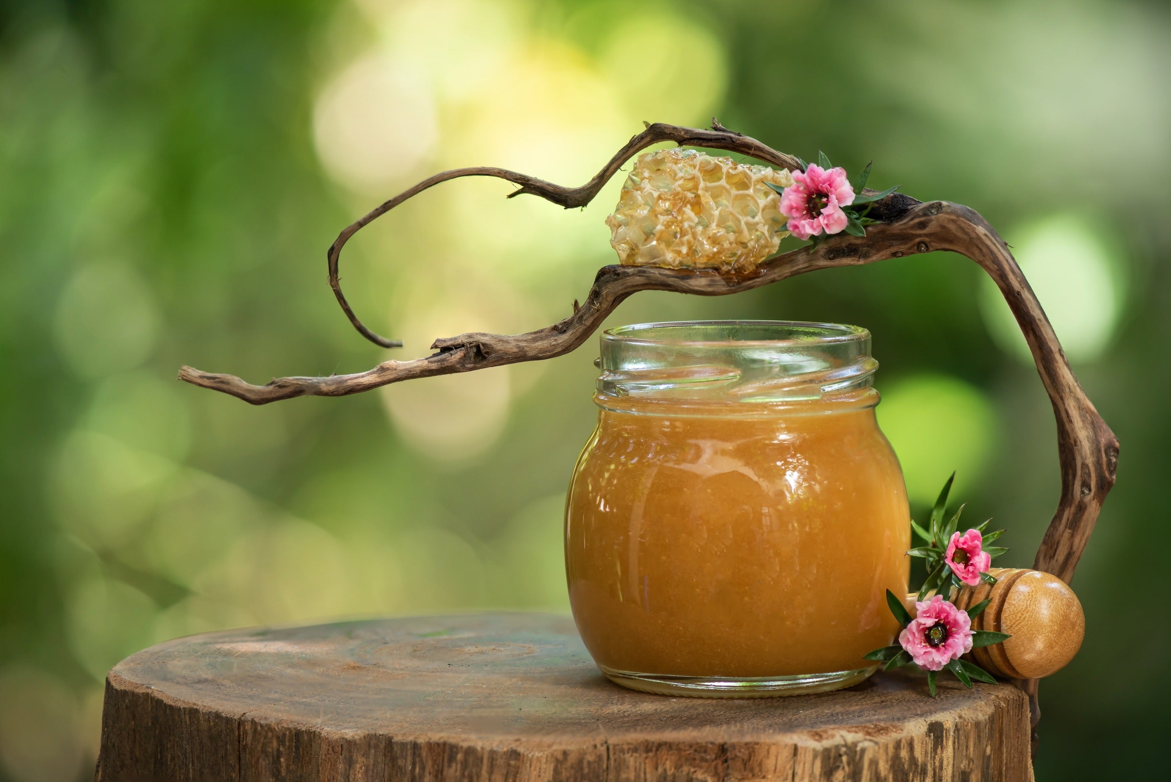 Spirulina and Manuka Honey Exfoliating Recipes for Dry Skin.