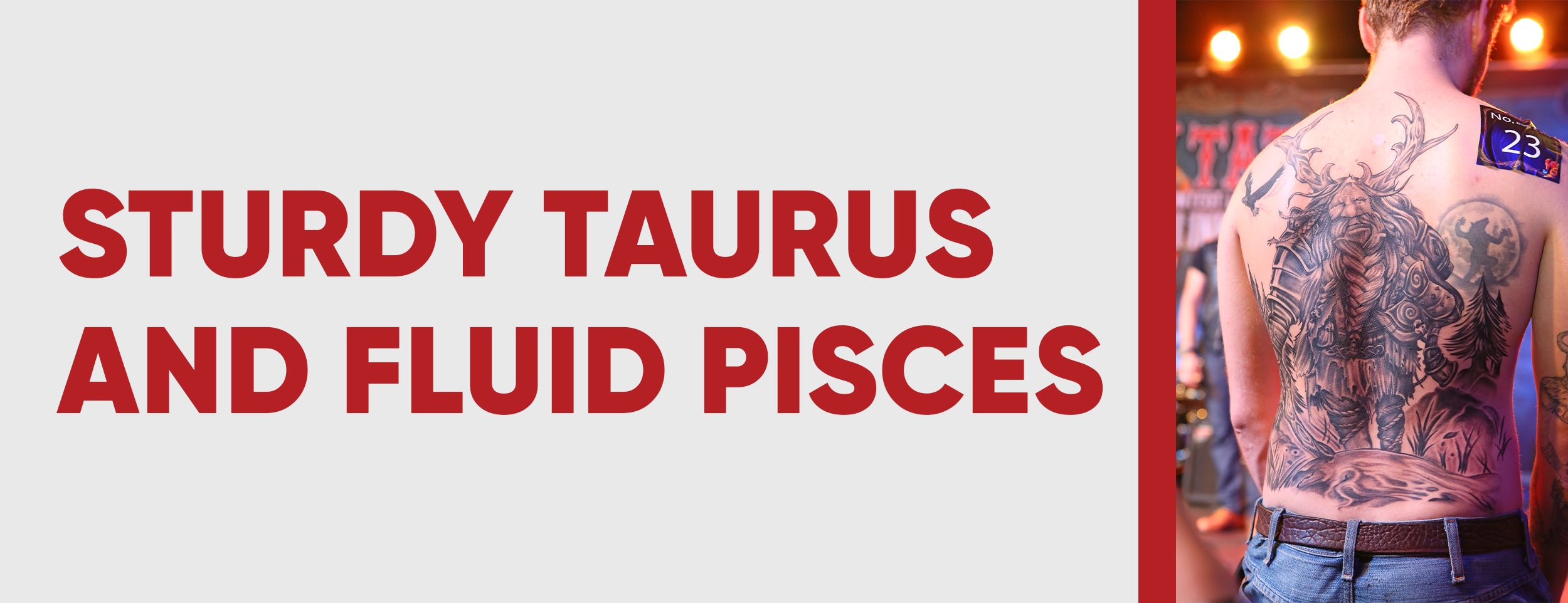 Sturdy Taurus and Fluid Pisces