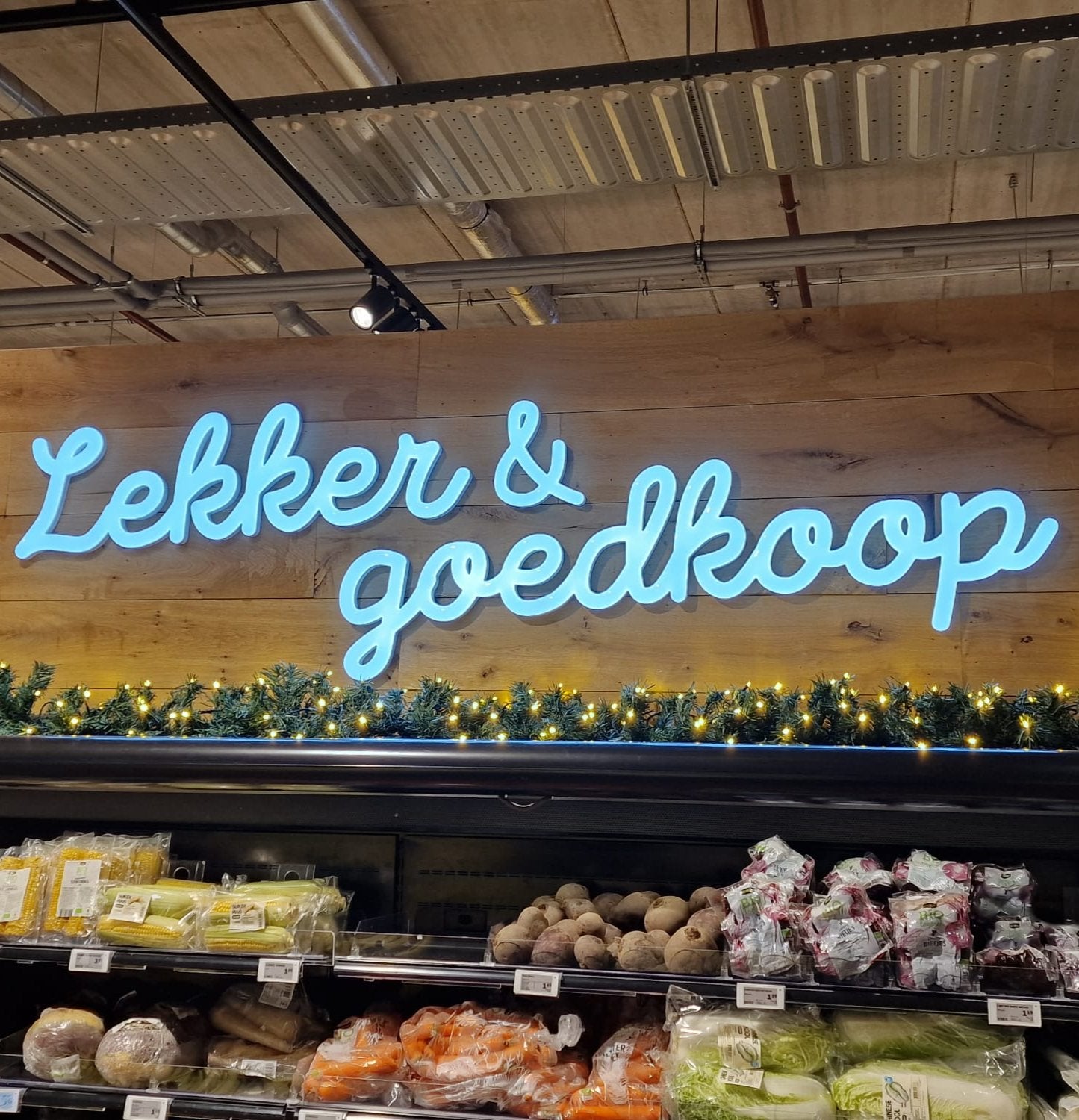 dutch neon sign logo van je bedrijf