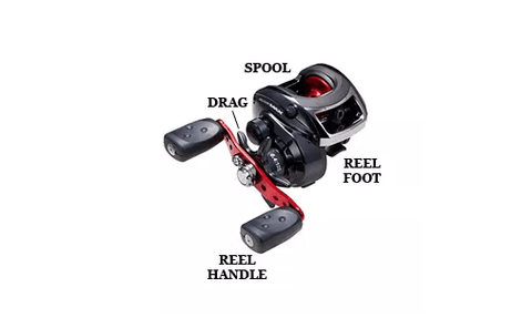 Baitcaster Reel Diagram