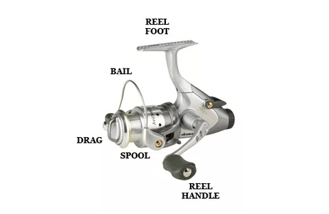 Spinning Reel Diagram