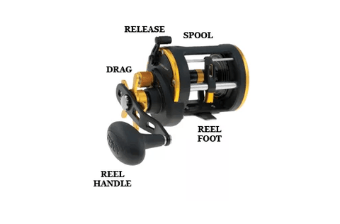 Trolling Reel Diagram