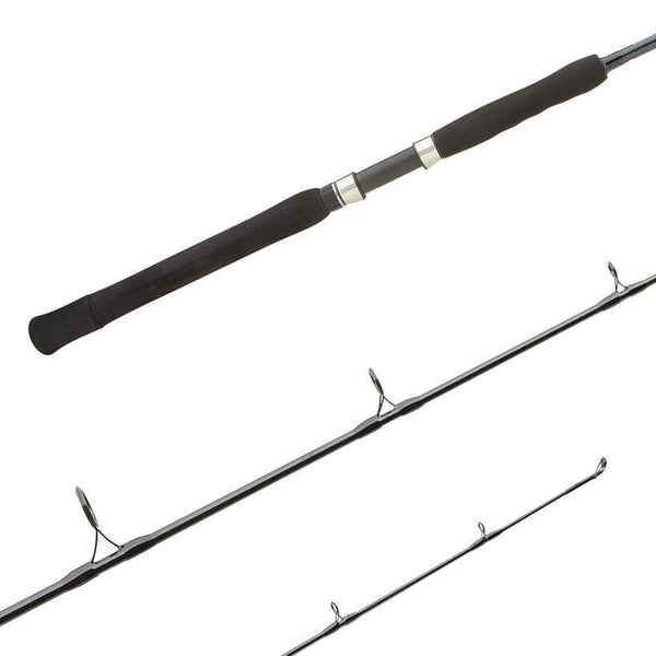 Saltwater Spinning Rods