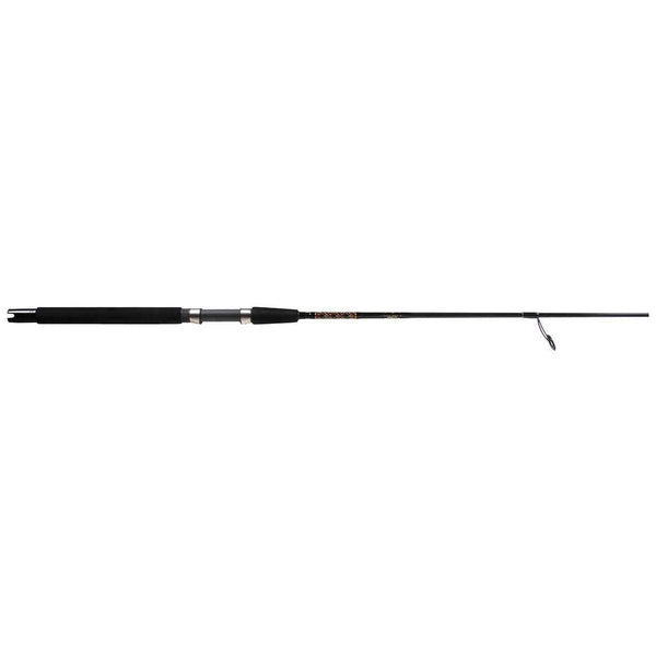 Star Rods Seagis Inshore Spinning Rod