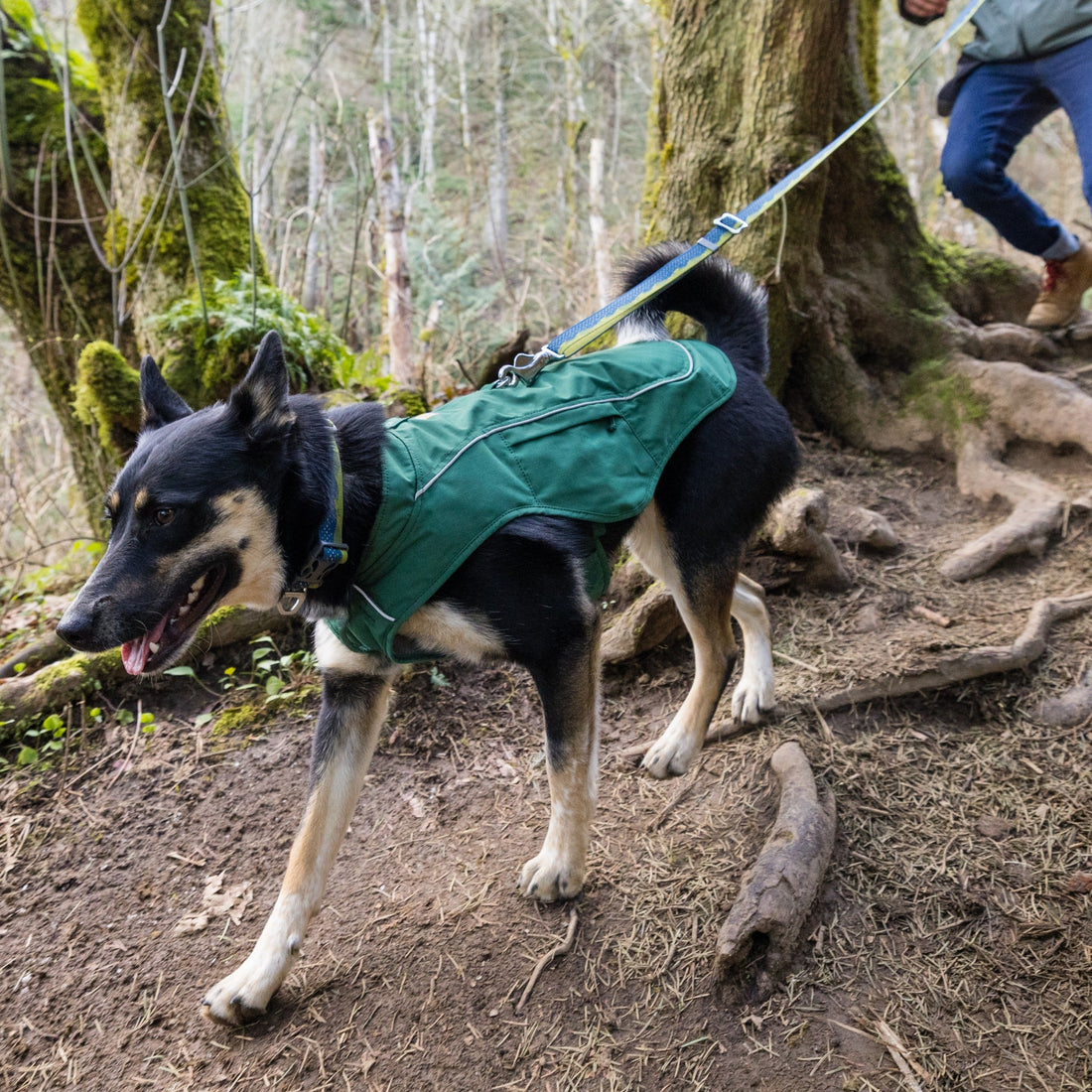 Ruffwear Stumptown Insulated Dog Jacket