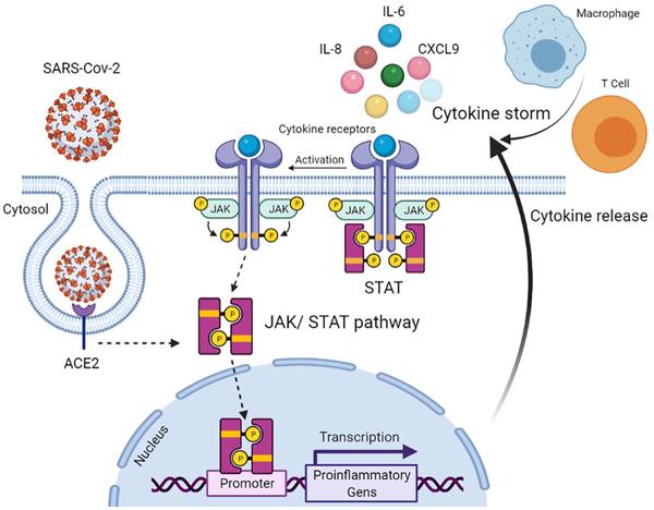 Cytokine Storm