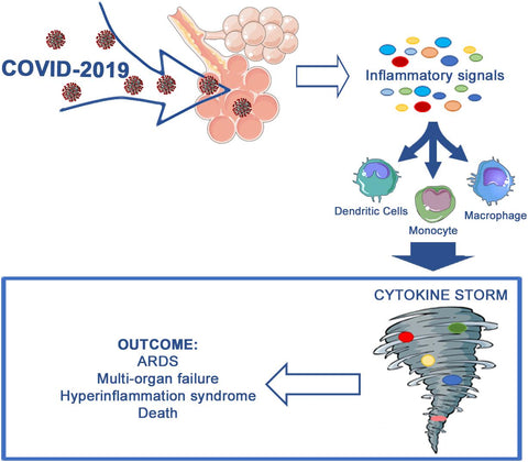 Figure 1. Aberrant immune host response occurring during COVID-19 infection.